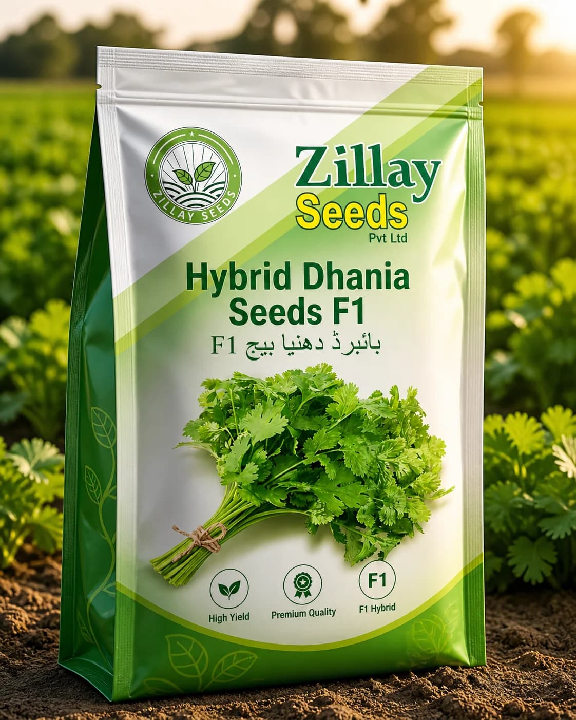 Hybrid Dhania Seeds — vegetable seed packet by Zillay Seeds, Pakistan