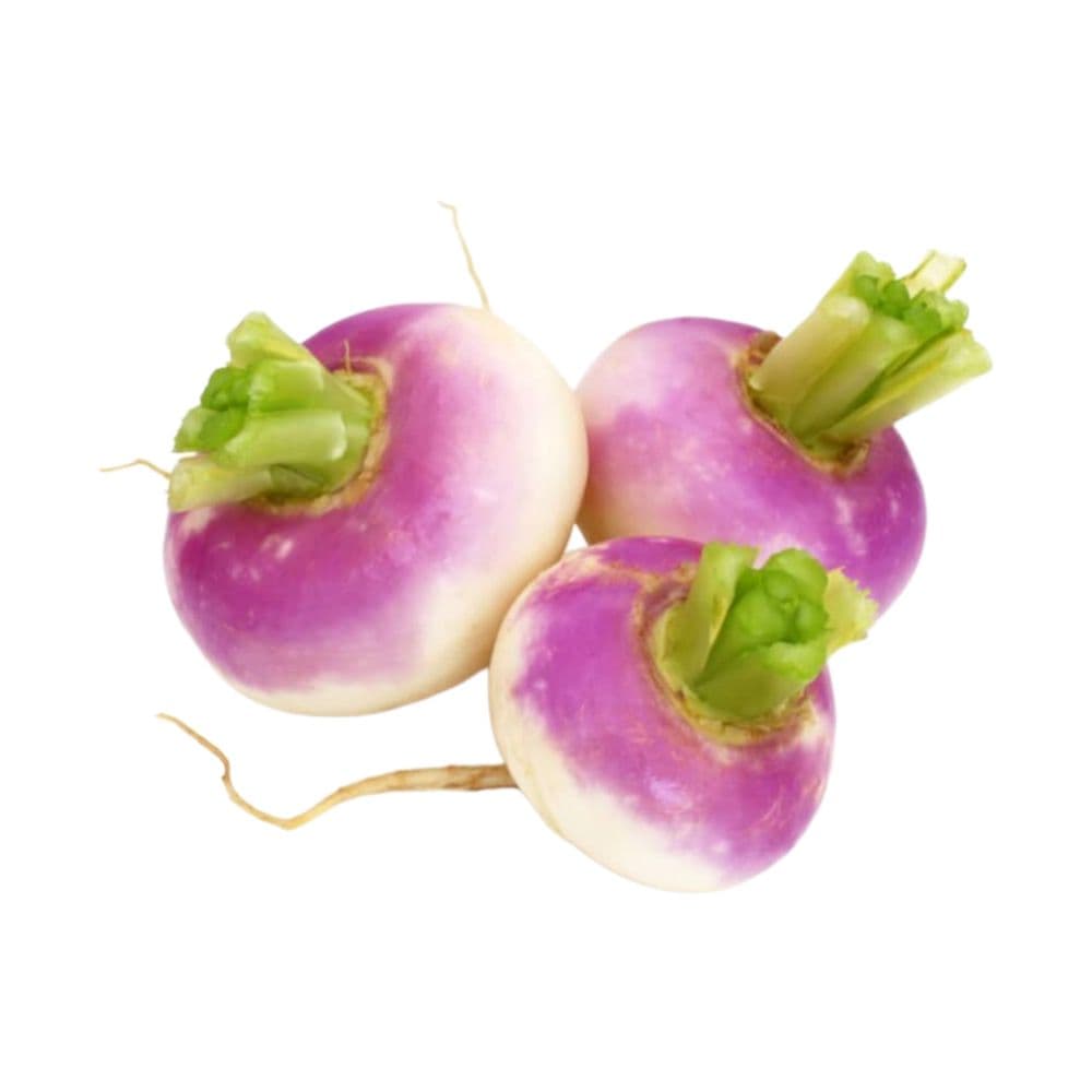 Turnip OPV seeds online — Root Vegetable Seeds from Zillay Seeds, Gujranwala, Pakistan